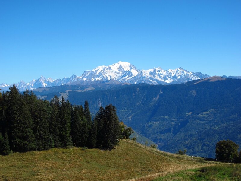 Mont-Blanc depuis l' Alpettaz