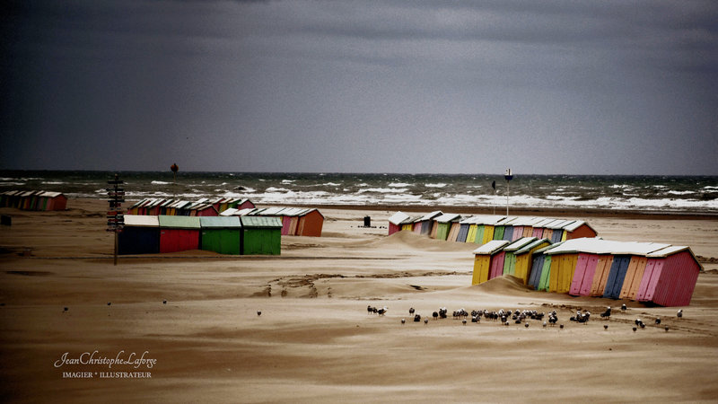 Berck Sept 2019 (60)