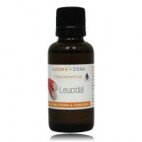 catalogue_conservateurs-antioxydants_leucidal