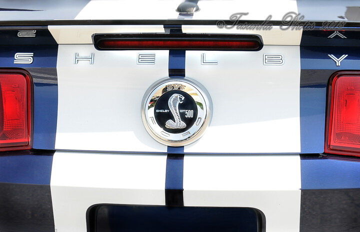 GT500Shelby_Tasunkaphotos2018_06