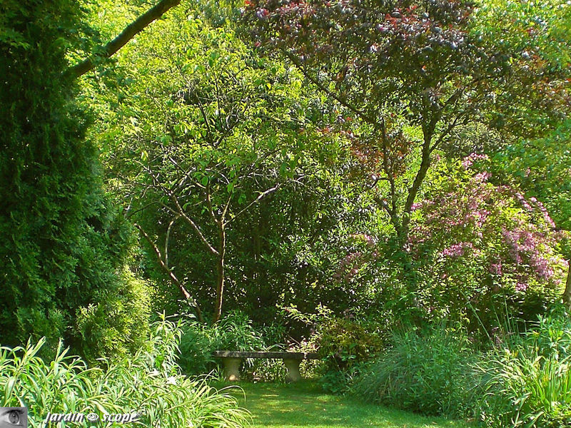 Banc au jardin d'atmosphère du Petit Bordeaux (72)
