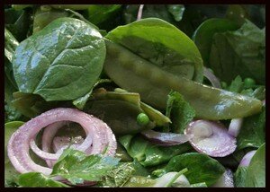 PN_salade_3