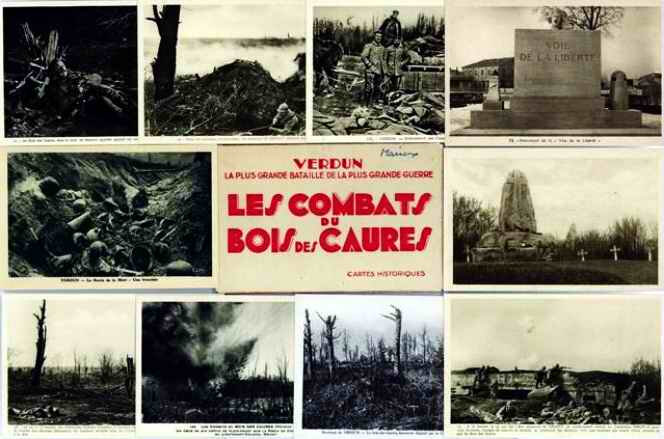 bois des caures7