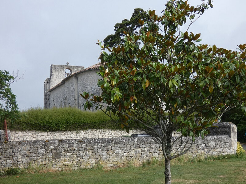 P1050557 - Copie