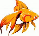 poisson-dessin