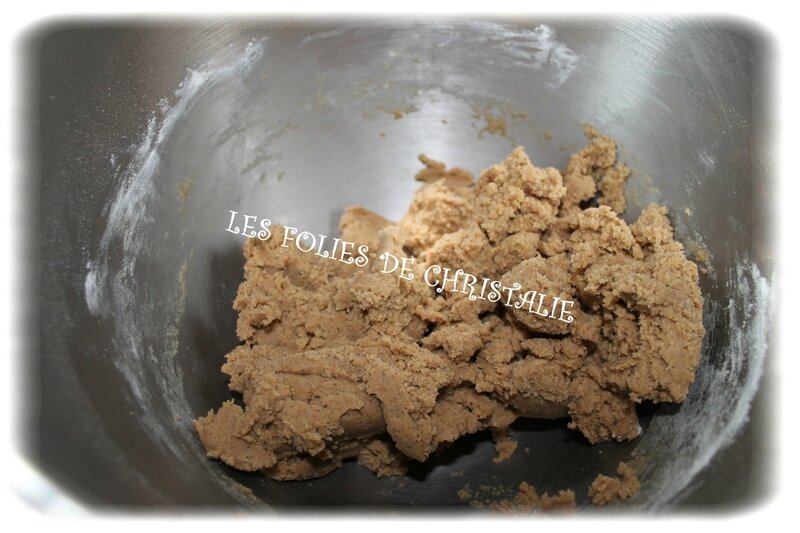 Spéculoos 5