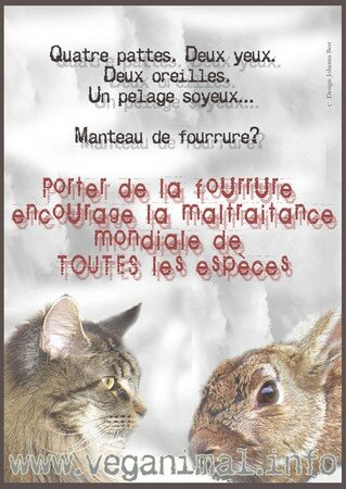 AFFICHE_ANIMAUX