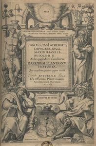 Clusius_2