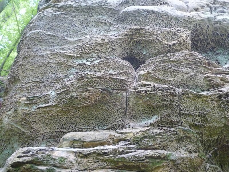 une roche aux trous fongiformes