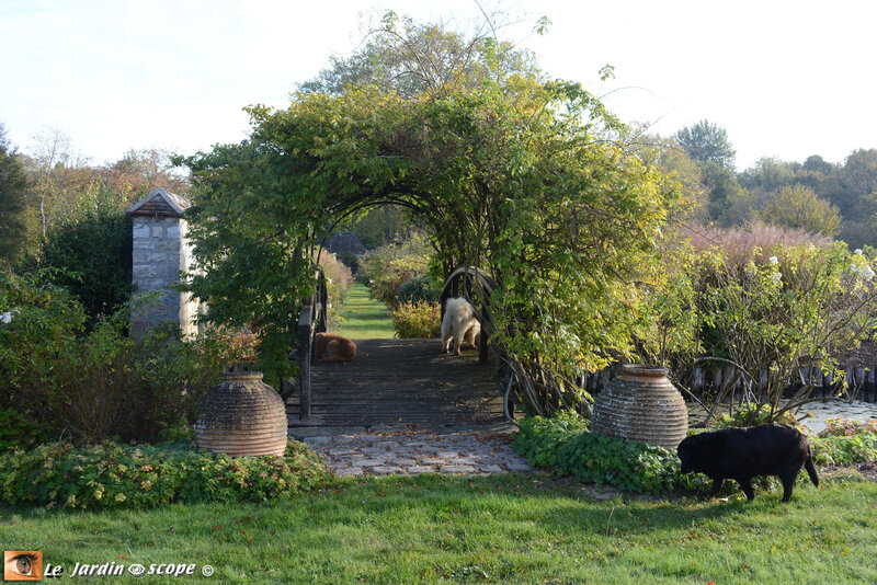 PAT_8957-Berville