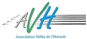 LOGO AVH