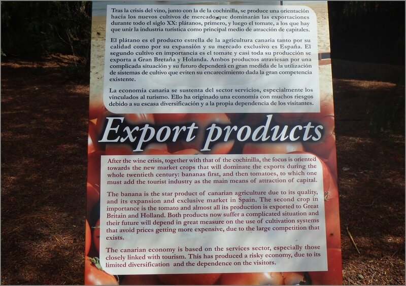 Guimar panneau exportations Canaries 2