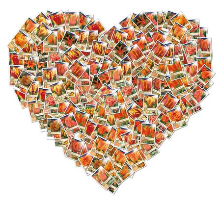 hart orange1