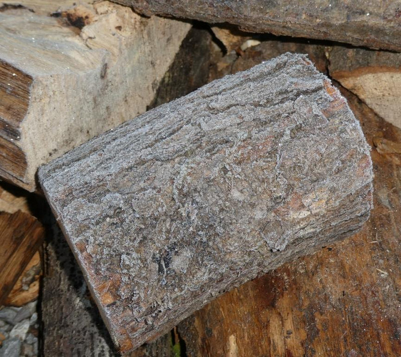P1040591