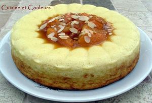 g_teau_de_semoule_et_abricots_compot_s