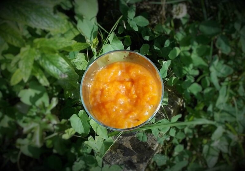compote abricots romarin 0
