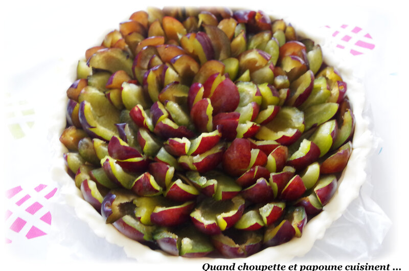 tarte aux quetsches d'Alsace-499