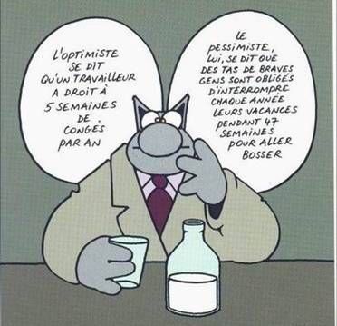 chat_geluck_vacances