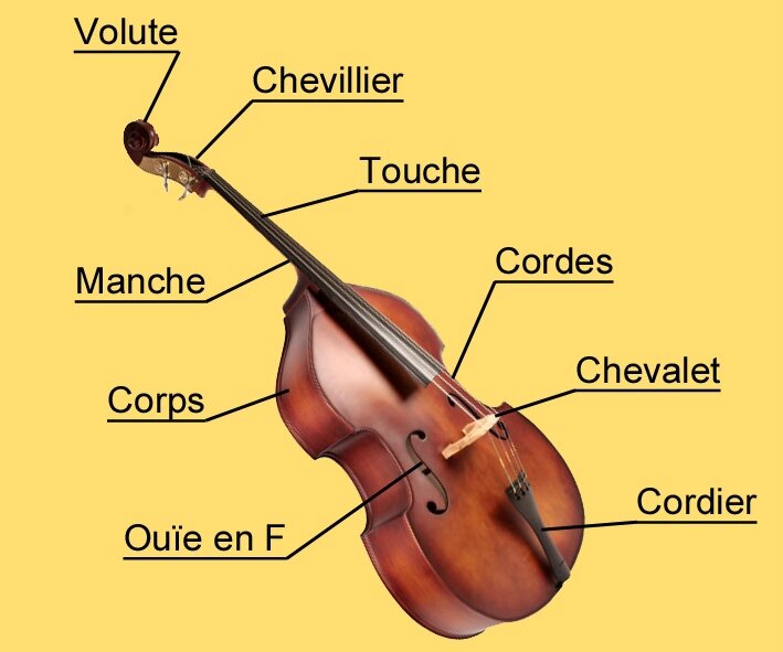 Eléments d'une contrebasse