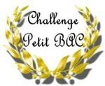 Challenge Petit Bac