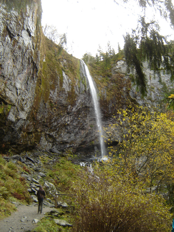 cascade