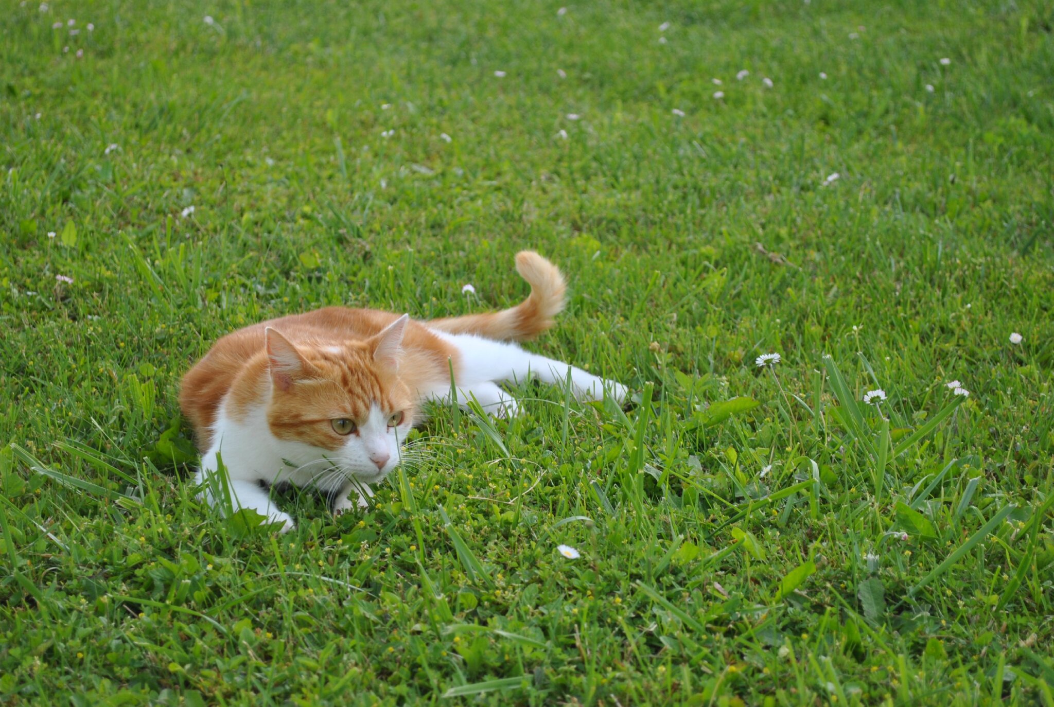 DSC_0030
