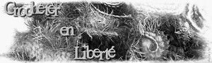 crocheter en liberté