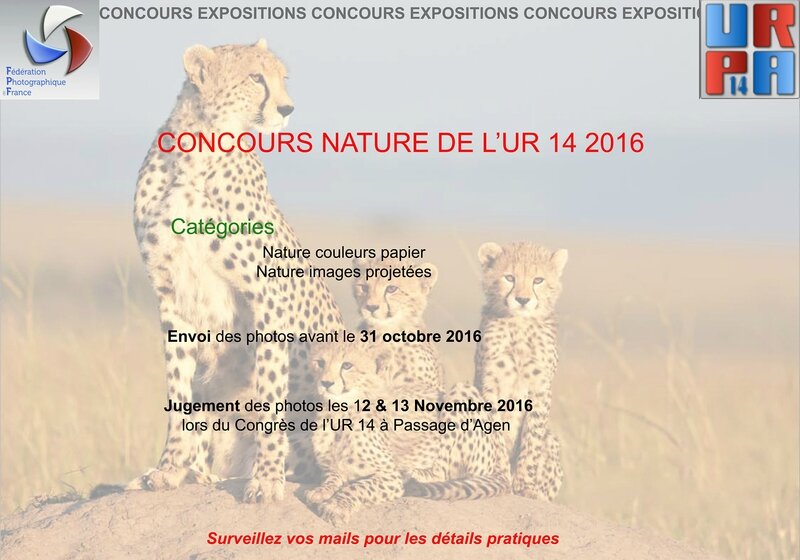 Concours nature blog