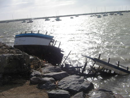 Temp_te_d_g_ts_Jard__Bourgenay__la_Tranche_sur_mer_017
