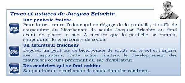 28631_briochin