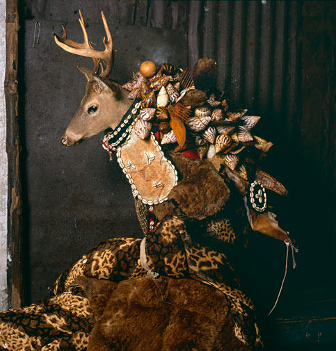 coquillages_sierra_leone2008