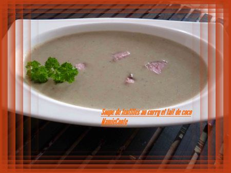 soupe_lentille_curry_lait_de_coco