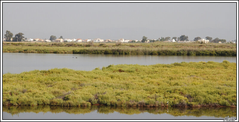 delta de l'èbre