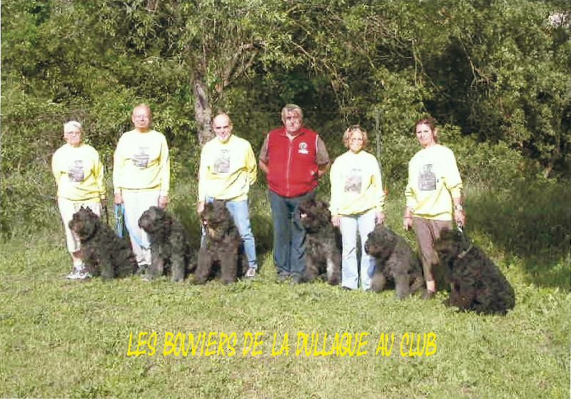 club d'éducation canine Aix en Provence 6 