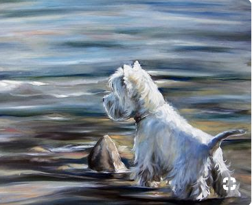westie22
