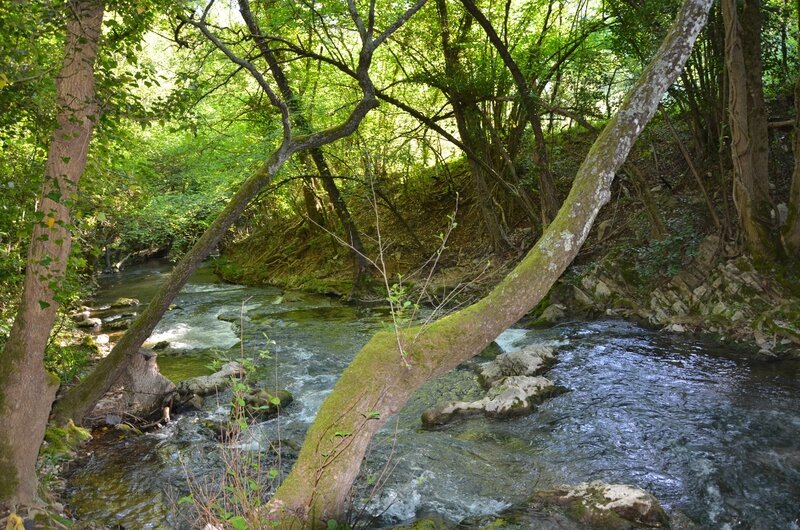 Au bord de l'eau