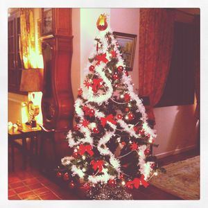 Sapin_familial_2011