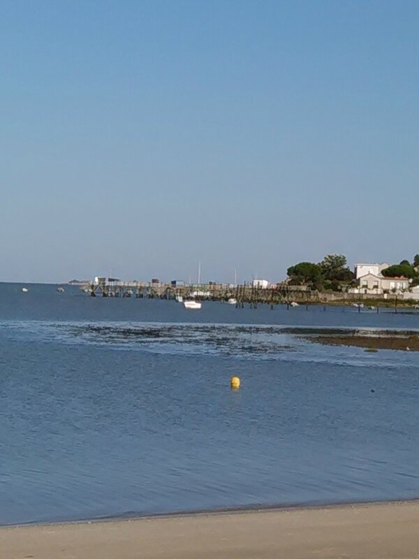 IMG_20150802_090538