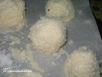 Coconuts_ladoos_de_Sahten_008