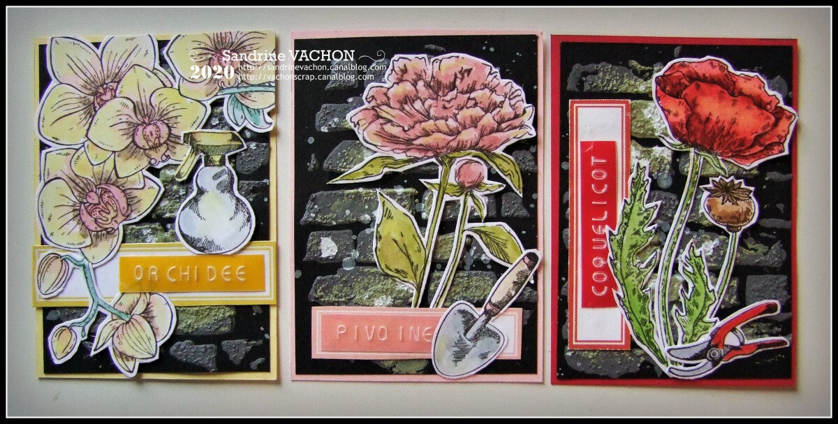 Sandrine VACHON ATC Juin 2020 PCC (1)