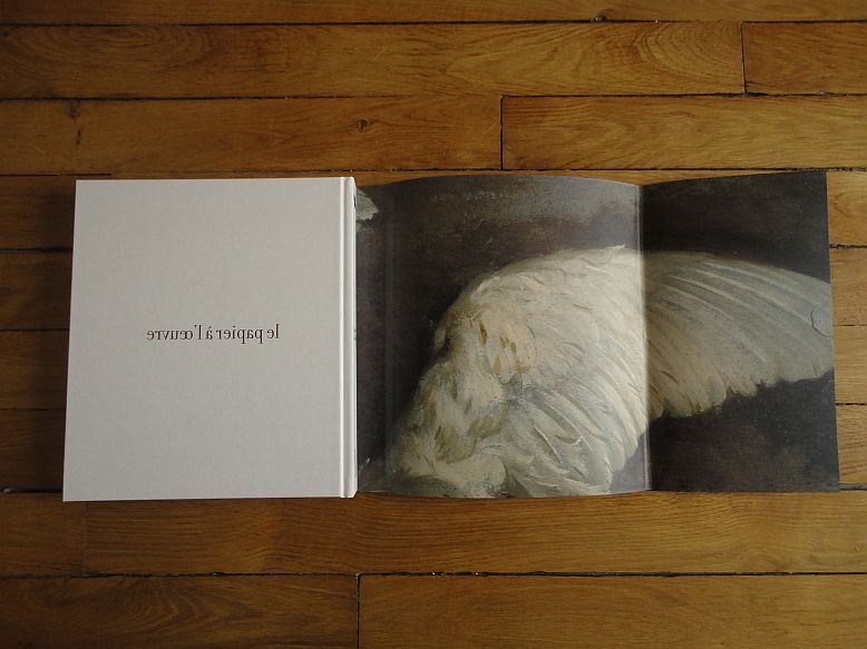 catalogue aile+droite