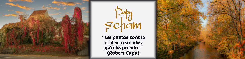 PAPY SCHAM