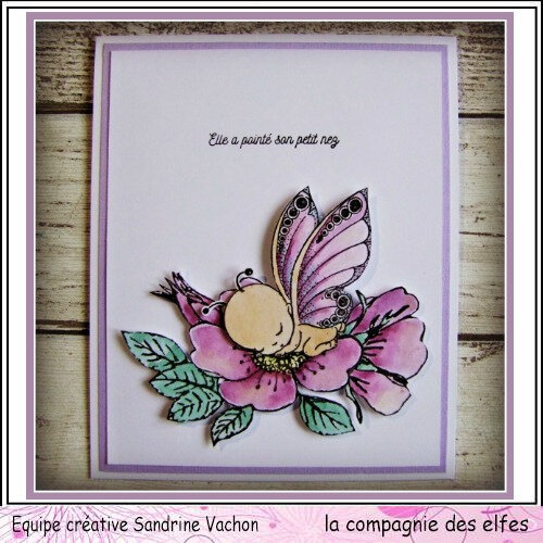 Carte ELLE A POINTE SON PETIT NEZ dt LCDE (1)