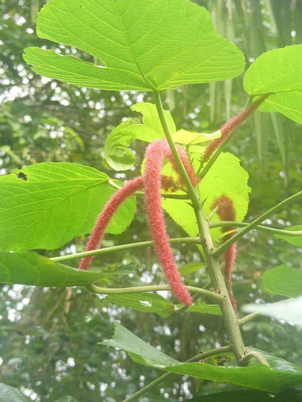 P1250153