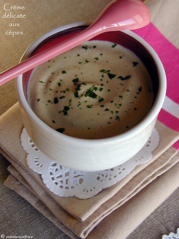 Creme delicate aux cepes Miamourdises