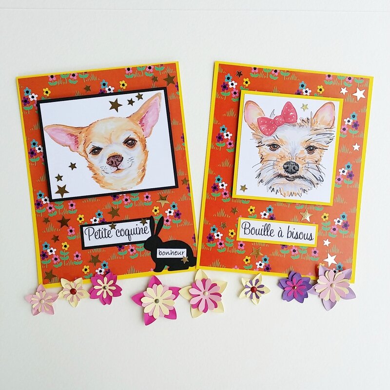 vanillejolie cartes chien