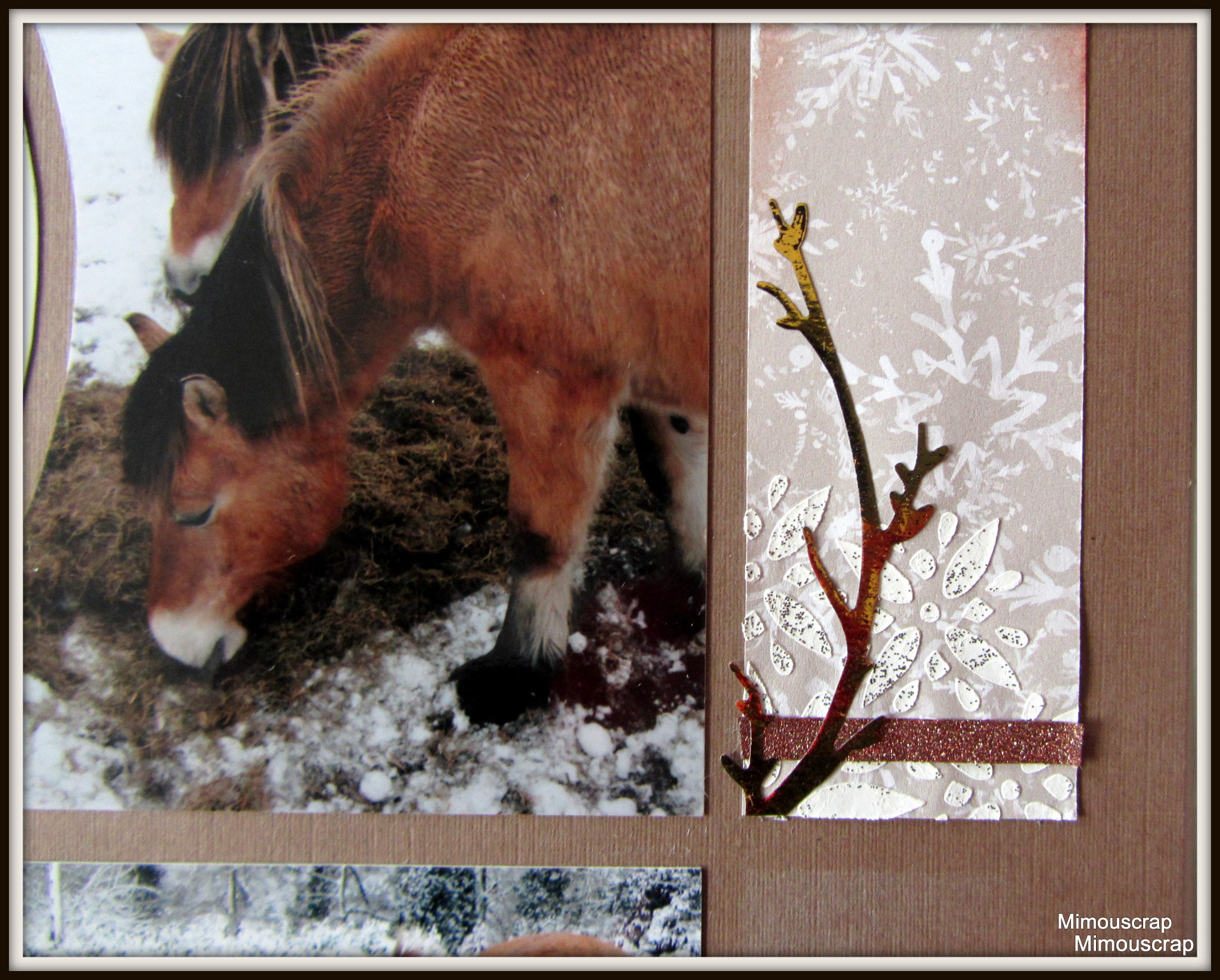 2019 hiver 58