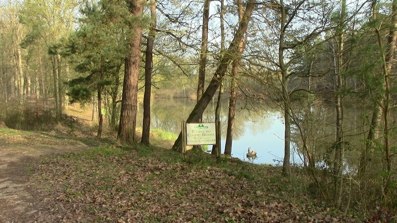 Etang du Coupe Gorge