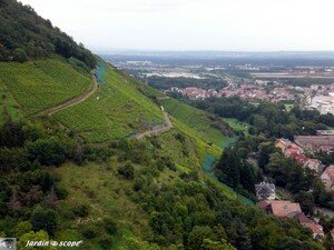 6722_Le_Rangen_et_l_Alsace