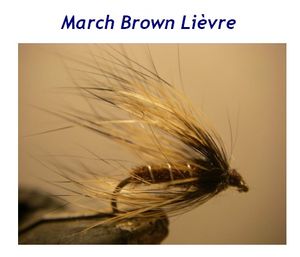 march_brown